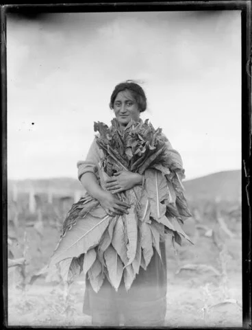 Image: Unidentified Maori woman holding tobacco leaves, Rotorua area, Bay of Plenty Region