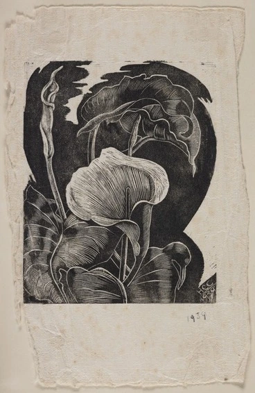 Image: Cook, Hinehauone Coralie, 1904-1993 :[Arum lilies] H.C.C. 1939