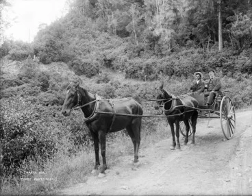 Image: Two horse cart on the Takaka Road, carrying a male member of the Tyree family and another unidentified man