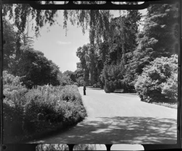 Image: Unidentified man in the Botanic Gardens, Christchurch