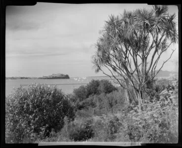 Image: Orakei, Auckland from Paritai Drive, showing Devonport and yachts in the distance