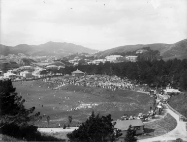 Image: Overlooking Newtown Park, Newtown, Wellington
