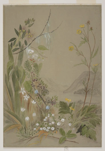 Image: Harris, Emily Cumming 1837?-1925 :[Pohutukawa, clematis, bluebell, snowberry and ranunculus. 1890s?]