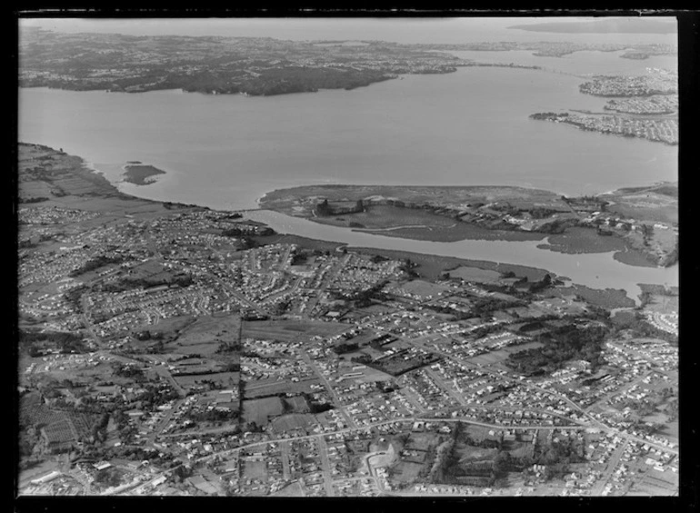 Image: Tamaki Estuary, Auckland