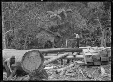Image: Timber men pit sawing near Anawhata