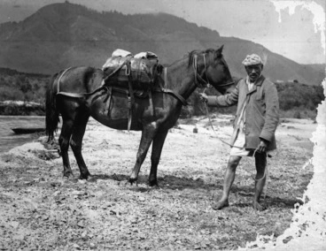 Image: Ross, Malcolm, 1862-1930 :Poison and his pack horse