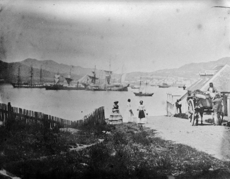 Image: [Photographer unknown] :[Wellington from Mulgrave Street, looking towards Te Aro. ca 1858]