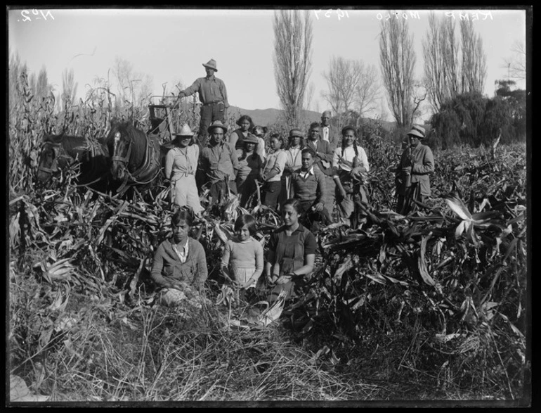 Image: Maori family group with a maize crop