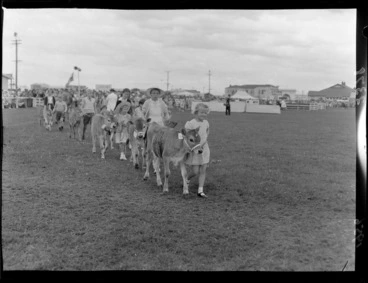 Image: Children leading prize-winning calves in a parade at Wairarapa Agricultural and Pastoral Show, Carterton