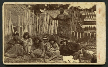 Image: Carnell, Samuel 1832-1920 :Group at Pawhakairo