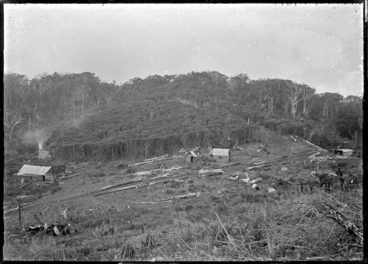 Image: Shanties in a bush clearing, Anawhata