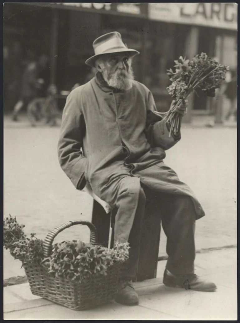 Image: Elderly man selling flowers in Wellington