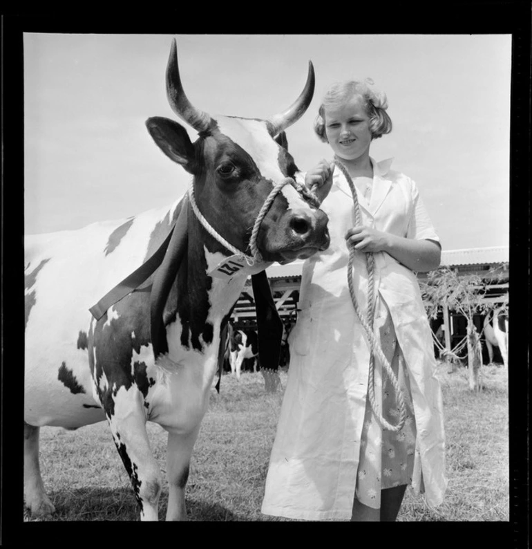 Image: Cattlebeast at Levin Agricultural and Pastoral Show