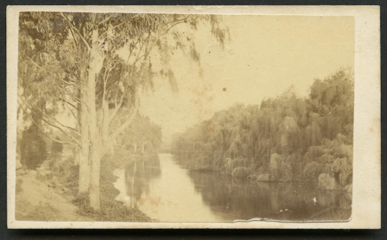 Image: Ferrier, William (Christchurch) fl 1881-1900 :Photograph of Botanical gardens, Christchurch