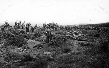 Image: Gallipoli armistice