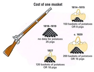 Image: Changing cost of muskets 1814-1827
