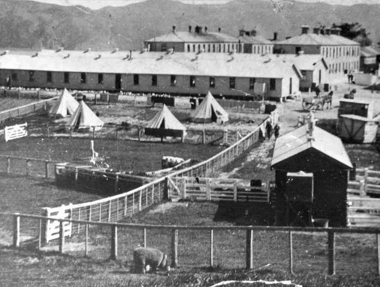 Image: Somes Island quarantine station