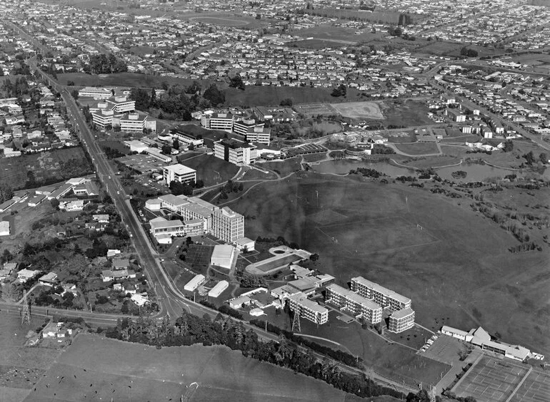 Image: Looking south along Hillcrest Road, 1979