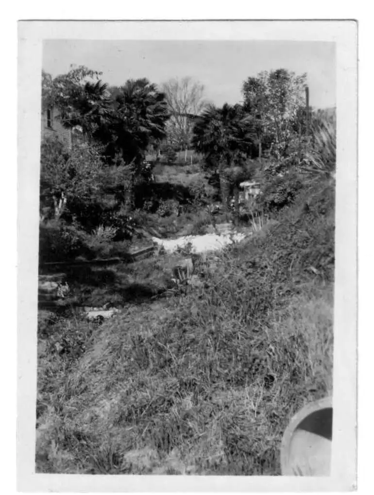 Image: Old brewery site Cook Street Hamilton East