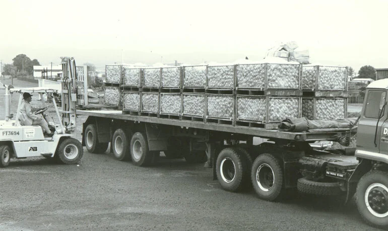 Image: Kiwifruit truck