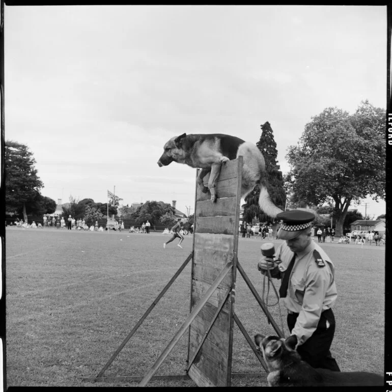 Image: Highland Games - Police dogs