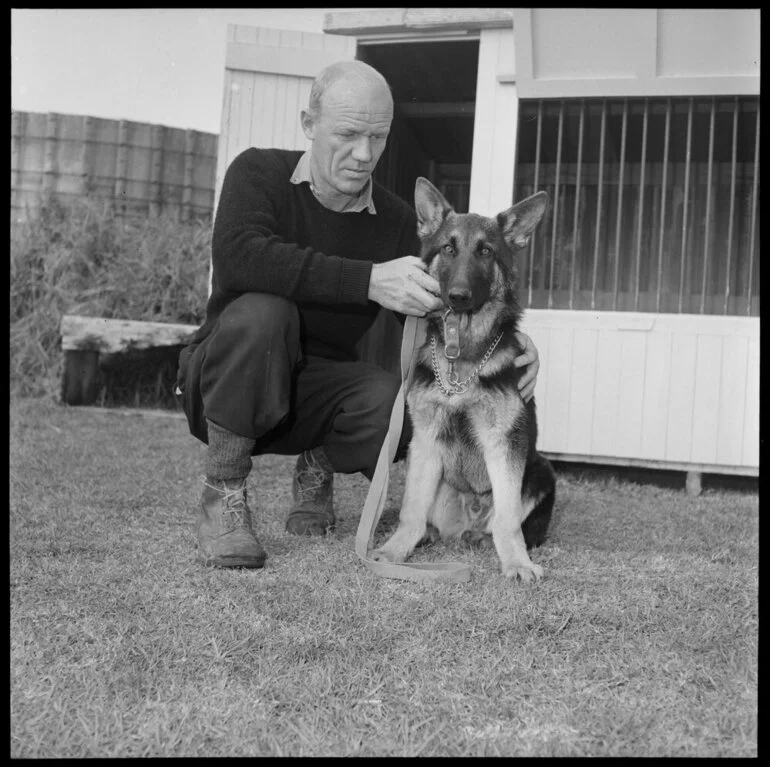 Image: Tauranga Police District police dog (Gyp) with Constable D. Lye