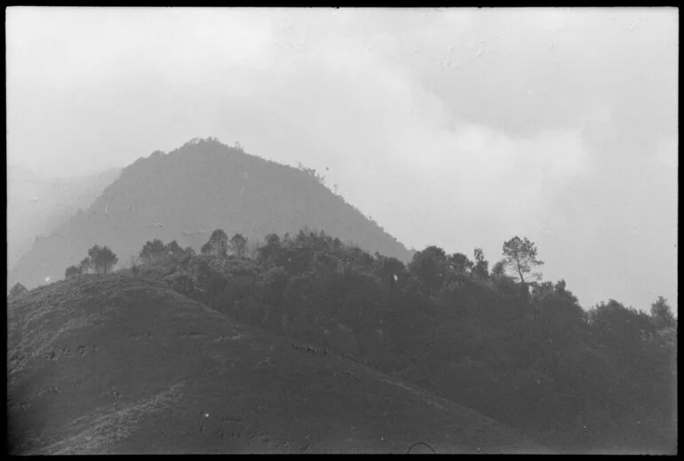 Image: Aircraft wreckage in Kaimai Ranges