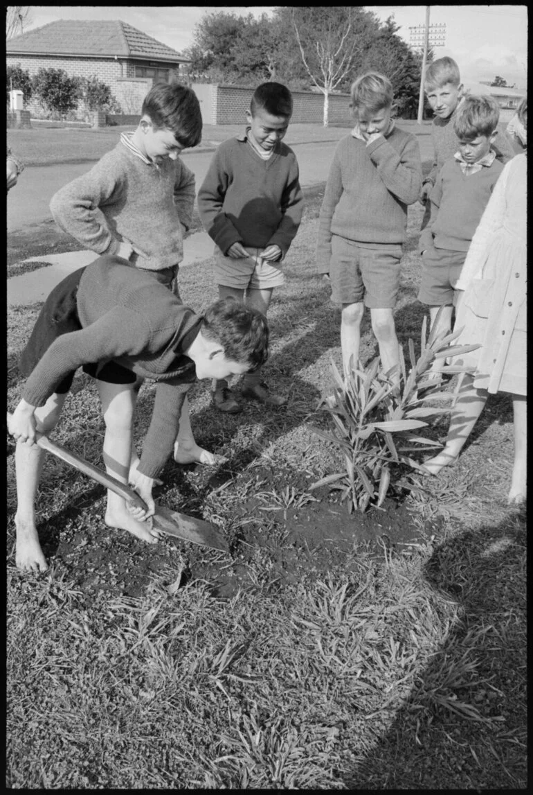 Image: Children planting during Arbor Day Ceremony at Pillans Point School
