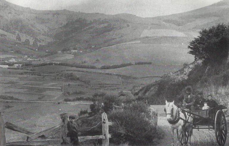 Image: Early Chinese Market Gardens