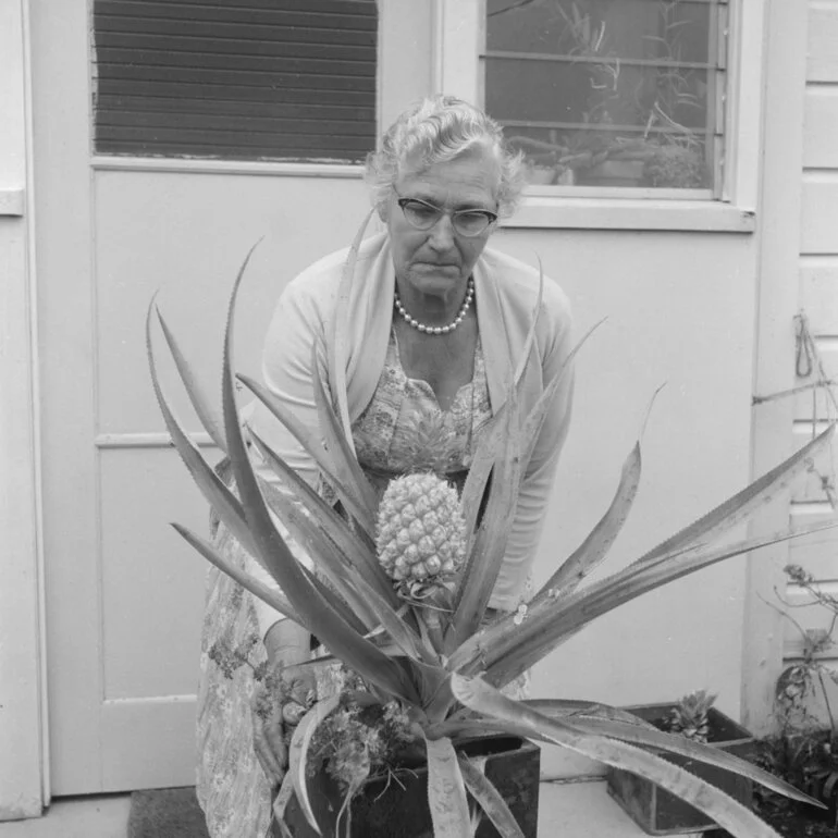 Image: Pineapple of Mr G. W. Lowe from Mount Maunganui, 1961