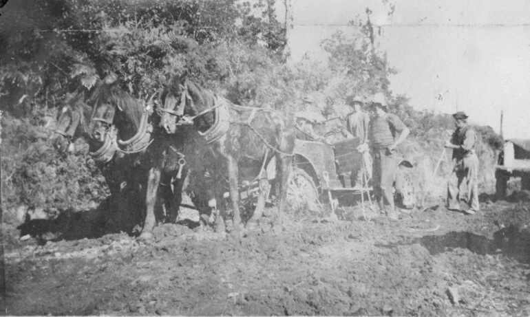 Image: Car being pulled by horses - Kaimai Road