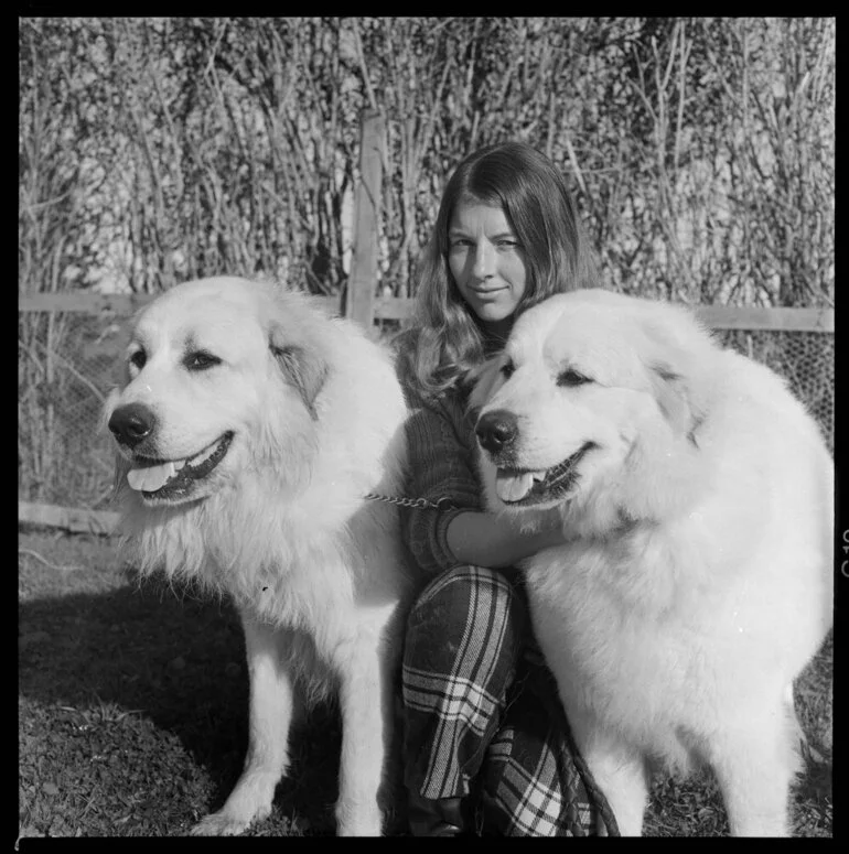 Image: Miss Watson and dogs