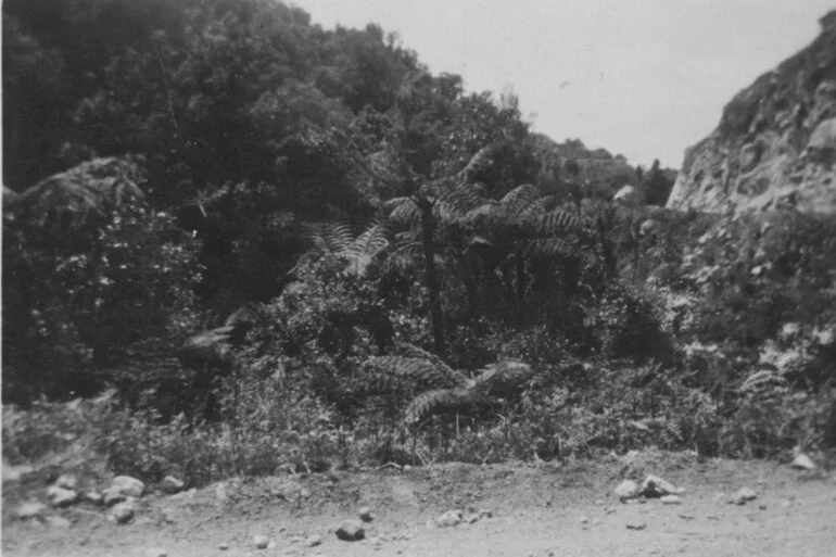 Image: Kaimai road 1930