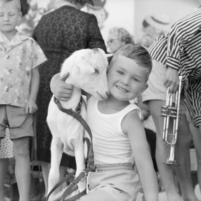 Image: Child with goat at the Soundshell, 1960
