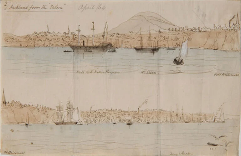 Image: Auckland from the Falcon.