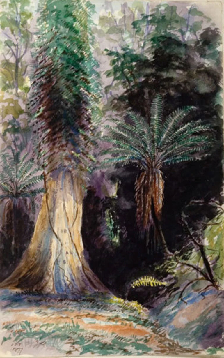 Image: New Zealand Bush. Wellington Botanical Gardens.
