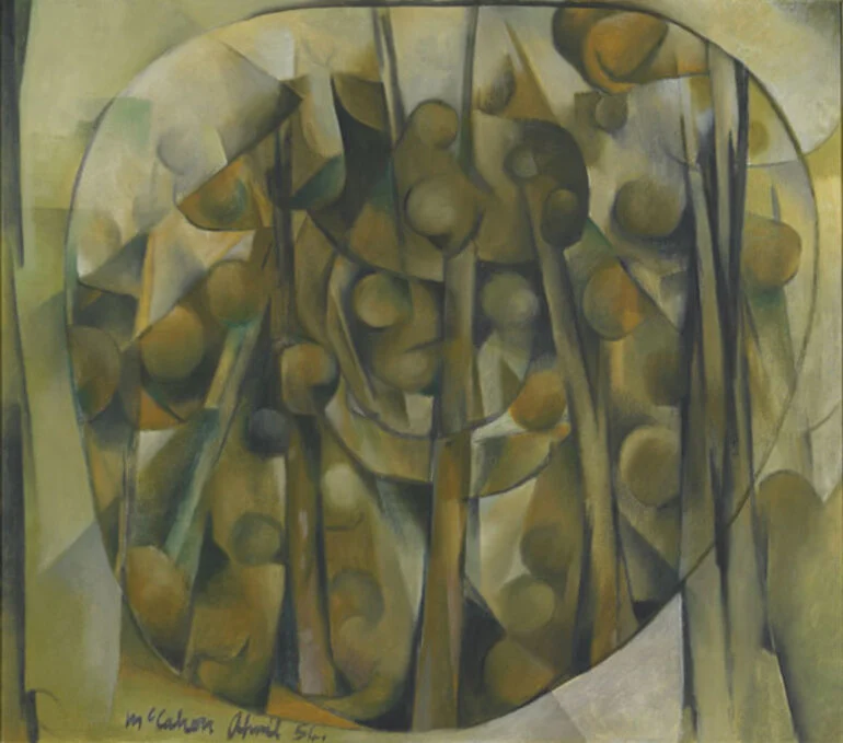Image: Kauri trees.