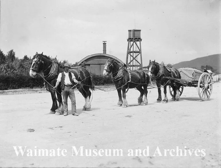 Image: Horses and cart on Queen Street