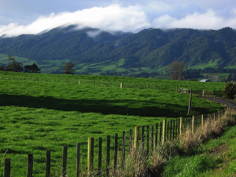 Image: Waikato dairy country with the Kaimai Ranges in the distance