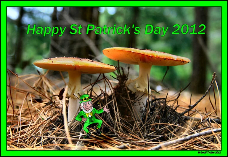 Image: Happy St Patrick's Day 2012
