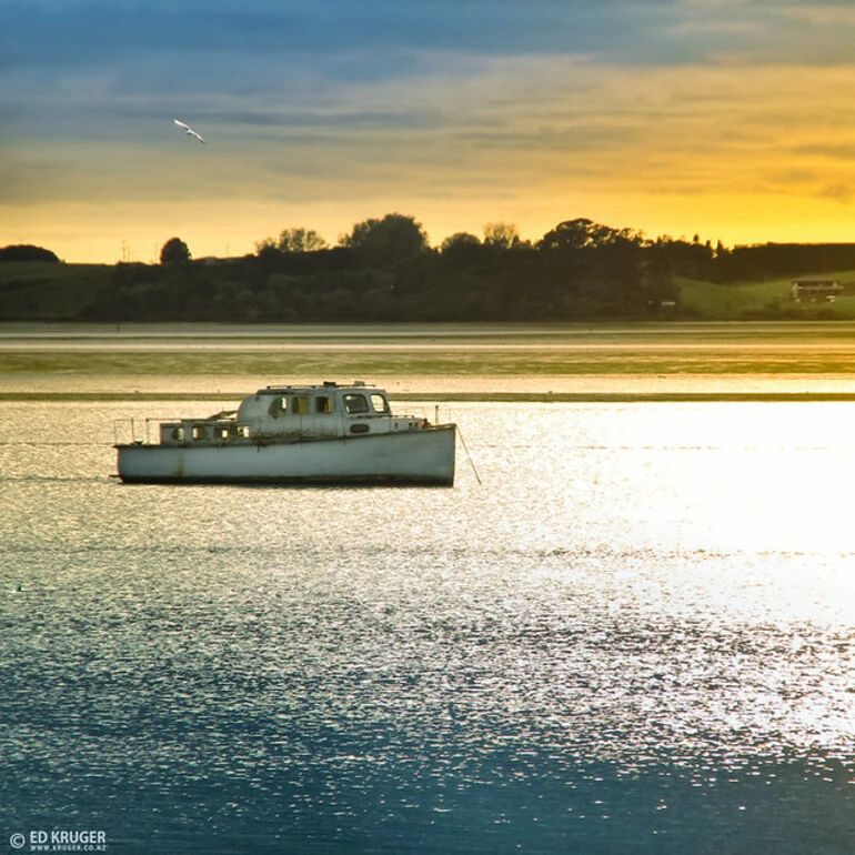 Image: New Zealand Sunrise in Tauranga