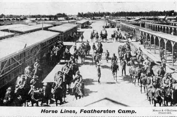 Horse lines, Featherston Camp Image: Horse lines, Featherston Camp