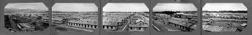 Featherston Military Camp Image: Featherston Military Camp