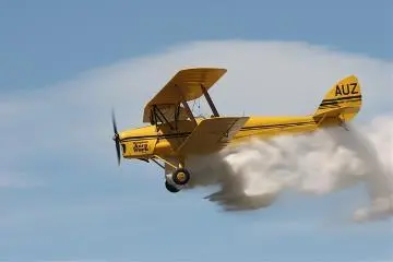 Tiger Moth topdresser : digital image Image: Tiger Moth topdresser : digital image