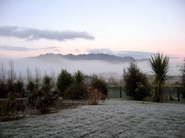 Image: Fog and frost