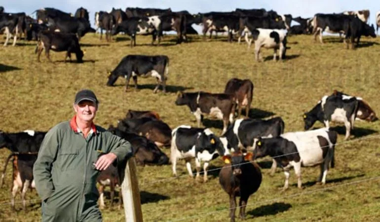 Image: Dairy farmer