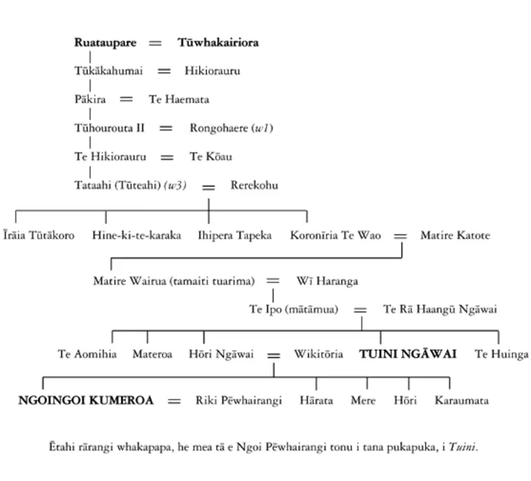 Image: Whakapapa of Tuini Moetū Haangū Ngāwai and Ngoi Pēwhairangi