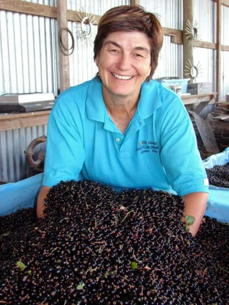 Image: Upper Moutere: Sarau Blackcurrant Festival