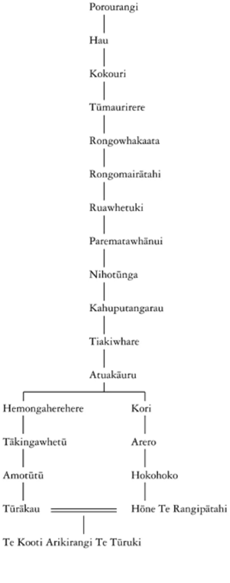 Image: Whakapapa of Te Kooti Arikirangi Te Tūruki