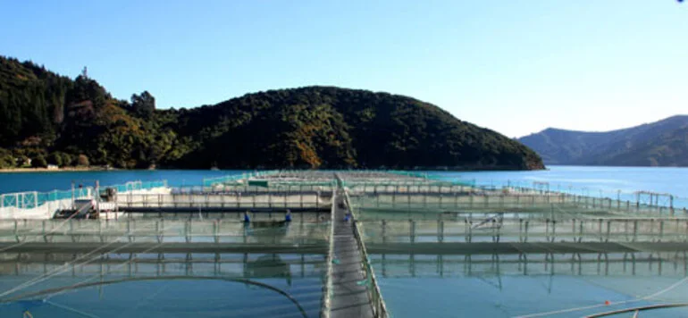 Image: Te Pangu salmon farm